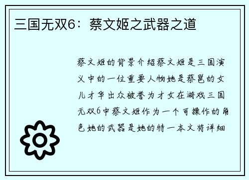 三国无双6：蔡文姬之武器之道